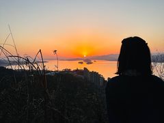 -千岛湖天屿景区