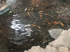 -森谷美食公园(杨行店)