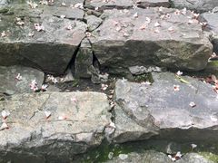 -龙湾潭国家森林公园