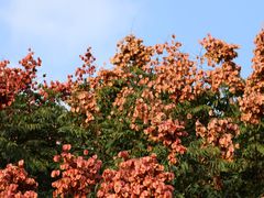 -杭州半山国家森林公园