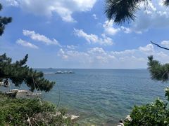 -养马岛旅游度假区