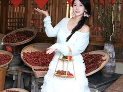 -田园印象·成都土菜院子(华阳店)