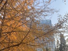-辽宁大学(崇山校区)