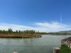 -野鸭湖国家湿地公园