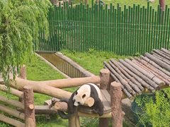 -沈阳森林动物园