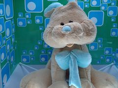 -PAWTOY爪e玩偶店(天兴罗斯福店)