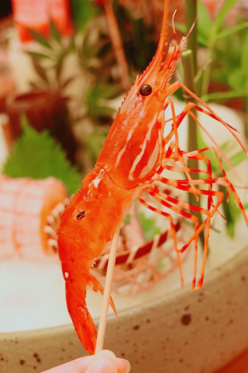 虹口区的日料 no 1,活牡丹虾好赞!