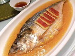 -老洋房花园饭店(绍兴路店)