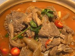 -洞庭家宴·头牌甲鱼(广渠门店)