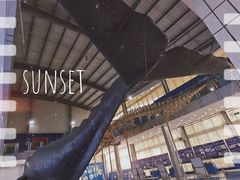 -上海海洋大学鱼文化博物馆(军工路校区)