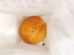 -真老大房鲜肉月饼(南京路步行街店)