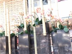 -天津海河悦榕庄·Lobby Lounge大堂吧