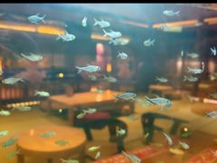 -大江户·温泉洗浴(浑南店)