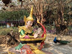 -瑞丽独树成林风景区