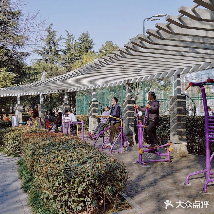 街头随拍｜华山绿地｜闹市区里的街心公园