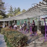 街头随拍｜华山绿地｜闹市区里的街心公园