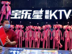 -宝乐星量贩KTV(莲升路店)