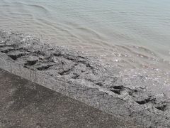 -观潮胜地公园