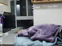 -爱侣宠医·鹦鹉专科·小型哺乳类·异宠专科(灵石路店)