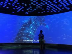 -同济大学四平路校区深海探索馆