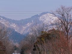 -涂山风景区