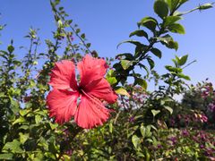 -五里桥文化公园-西侧停车场