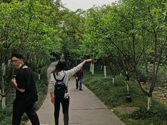 -重庆彩云湖湿地公园