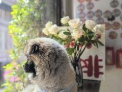 -铁炉咖啡(河下古镇店)