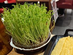 -好彩猪肚鸡(正弘城店)