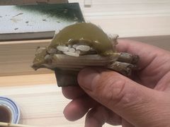 -镹·鱼料理  国产鱼使用店