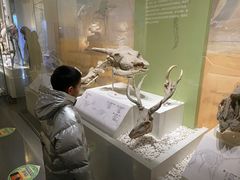 -国家自然博物馆