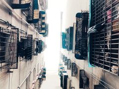 -悟饮门市景店