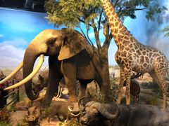 -陕西自然博物馆