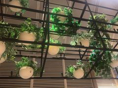 -金海湾自助餐厅(金陵饭店)