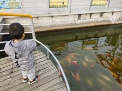 -石家庄市植物园