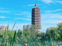 -西海子公园