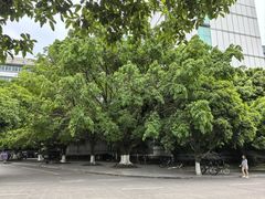 -四川农业大学(雅安校区)