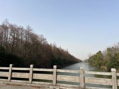 -上海海湾国家森林公园