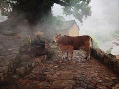 -杨家堂村