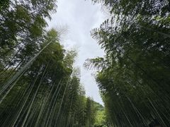 -黄公望隐居地