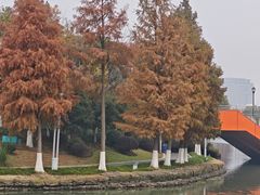 -皇粮浜湿地公园