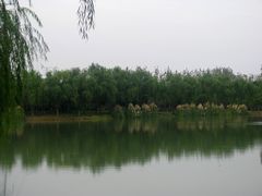 -昆山城市生态森林公园