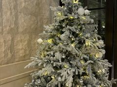 -太湖饭店玉兰厅(自助餐厅)