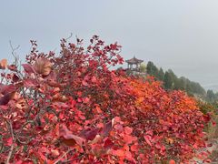-十三陵水库