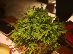 -盡膳口福跷脚牛肉火锅(北美新天地店)