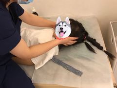 -庆德堂中医馆·小儿推拿(江北店)