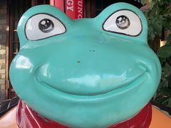 -蛙小侠(珠海华发商都店)