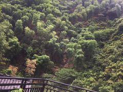 -将军关探险漂流