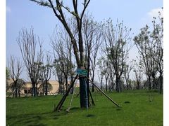 -盘龙城遗址博物院