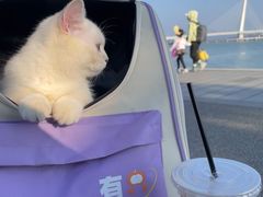 -深圳湾公园(南山区)